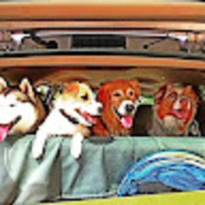 Meet your Posher, Joy